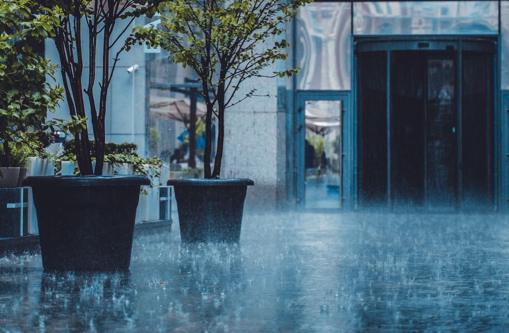 Kraftigt regn på en stadsgång med planterade träd i krukor